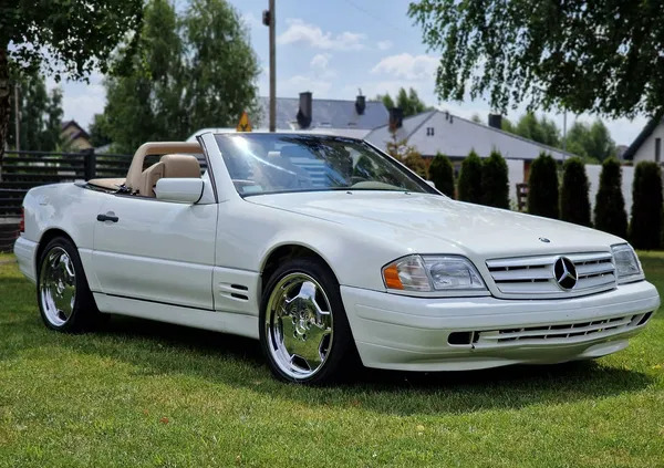 łuków Mercedes-Benz SL cena 78000 przebieg: 125210, rok produkcji 1998 z Łuków